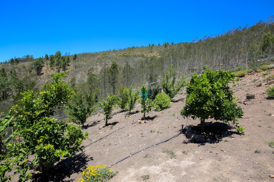 3 Bedroom Property for Sale in Plettenberg Bay Rural Western Cape